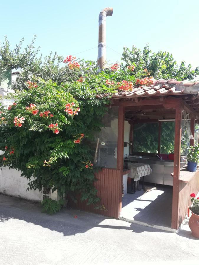 Appartement Stelios House à Asprovalta Extérieur photo